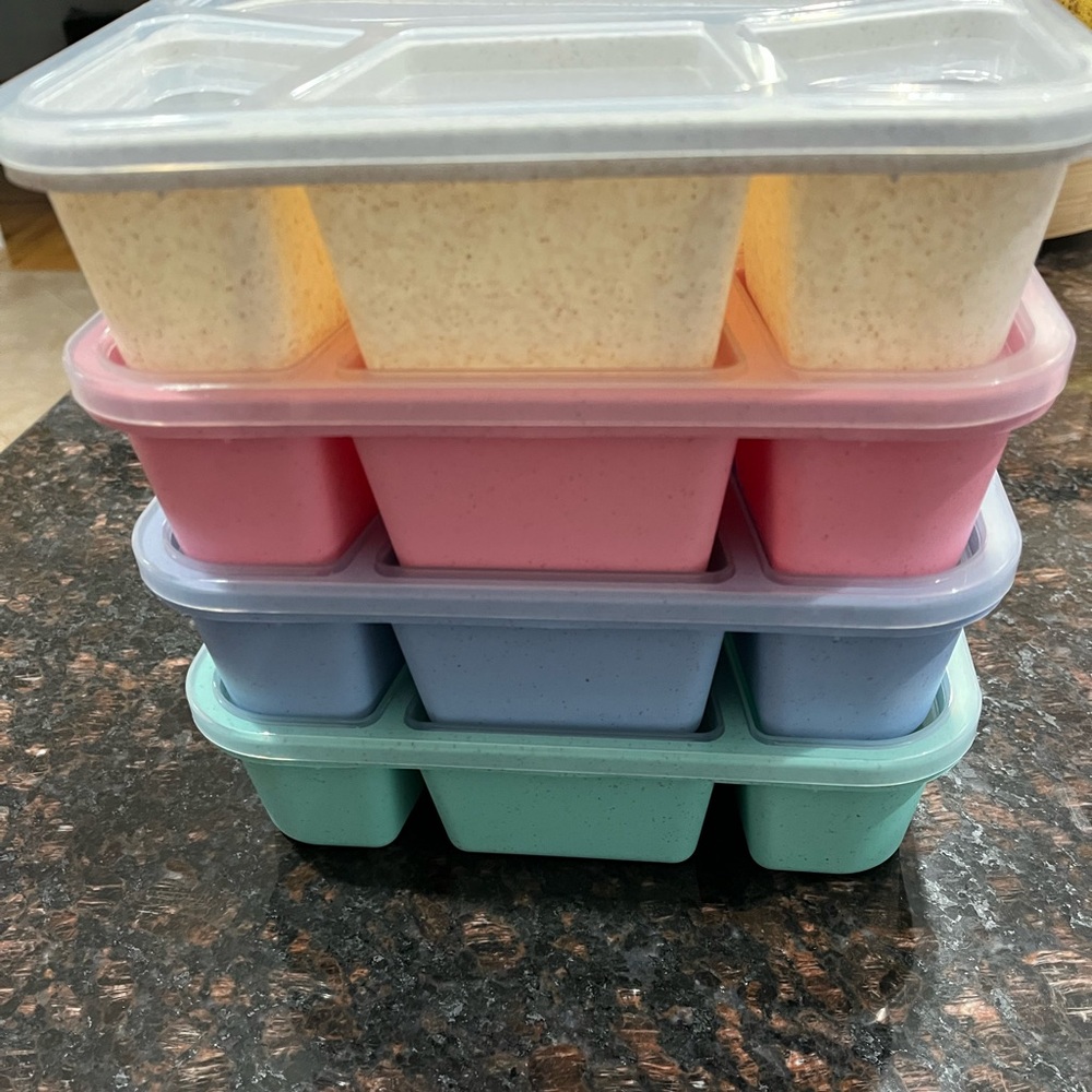 Set of 4 Colorful Bento Boxes